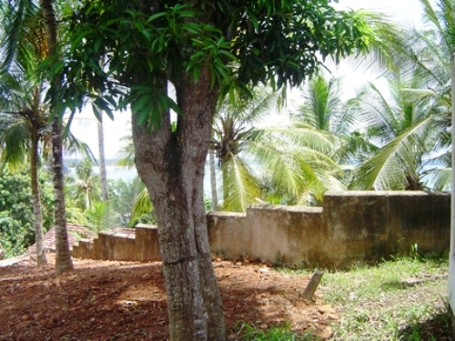 Land With breathtaking views of the Weligama Bay