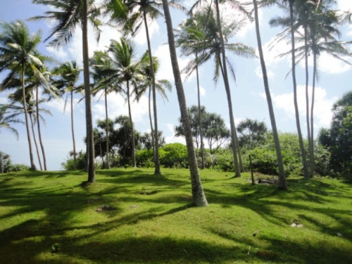 Promontory over looking the Indian Ocean