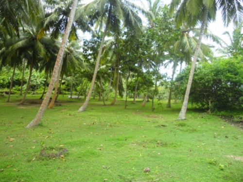 Promontory over looking the Indian Ocean