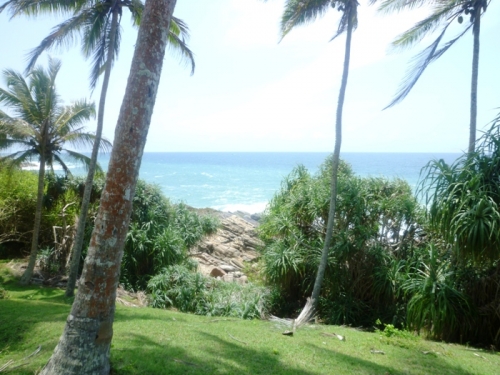 Promontory over looking the Indian Ocean