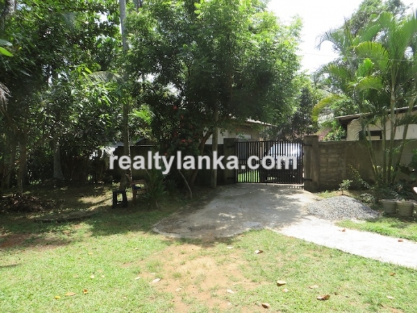 Paddy Front Property