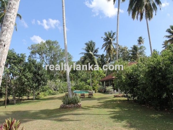 Secluded Villa in midst of a cinnamon Plantation