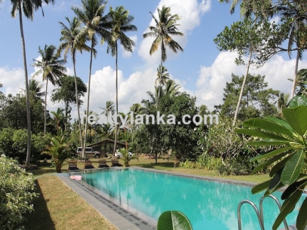 Secluded Villa in midst of a cinnamon Plantation