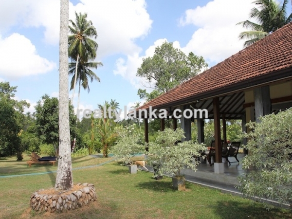Secluded Villa in midst of a cinnamon Plantation