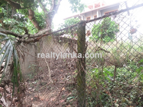 Beachfront Property Near To Dikwella Town