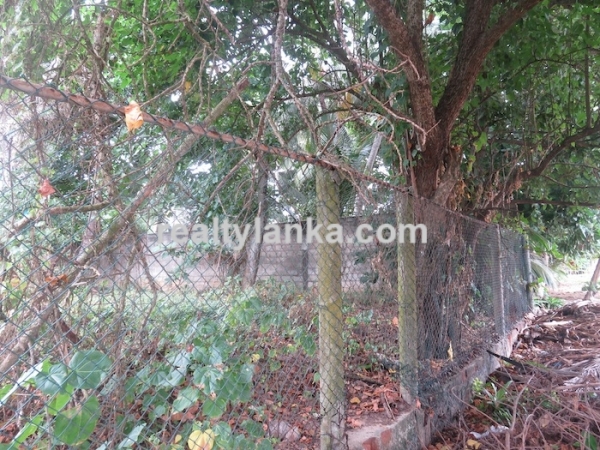 Beachfront Property Near To Dikwella Town