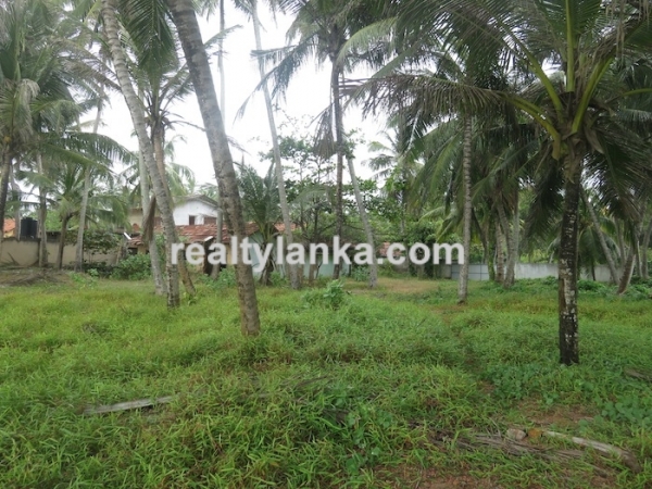 40m Beach Front Property