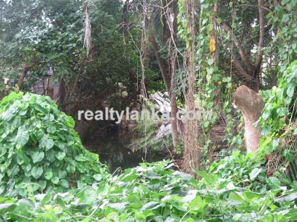 40m Beach Front Property