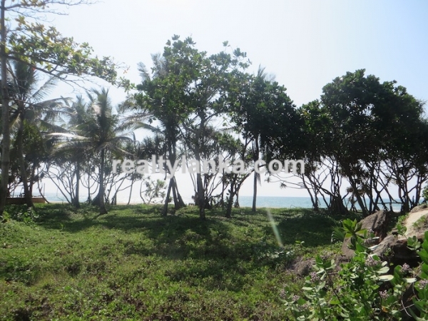 Beachfront 83 Perches Land