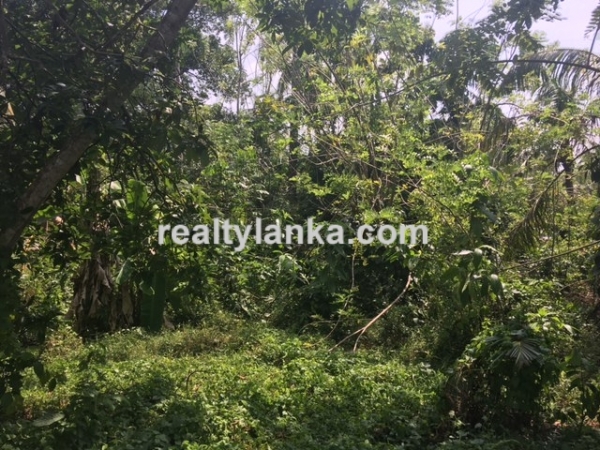 Colonial House in Ahangama