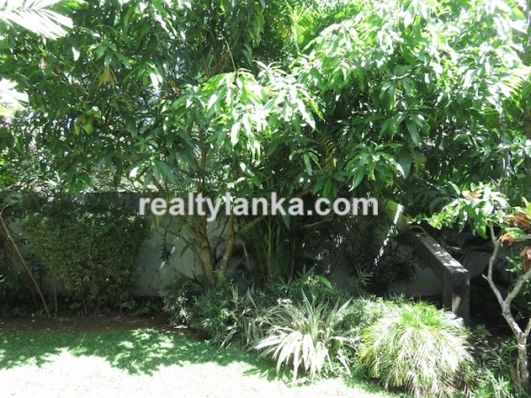 Small Villa In Habaraduwa