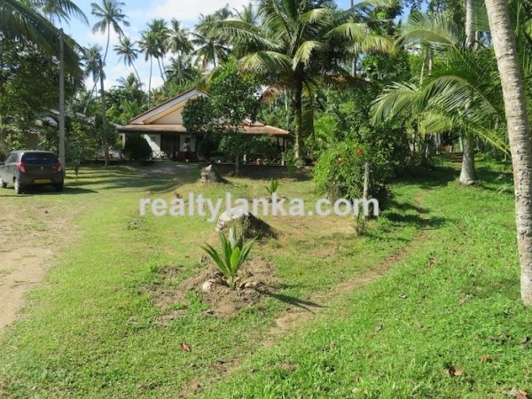 200 Perch Land Wth Two Houses