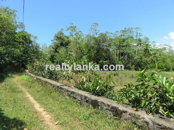 Property with Breathtaking View Of Koggala Lake