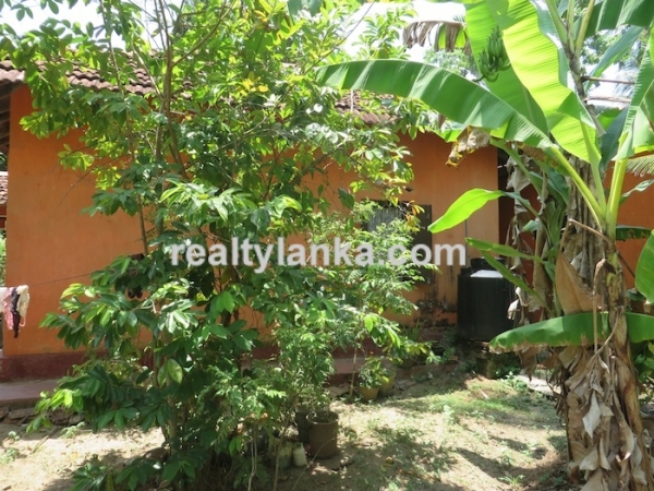 Inland Property Near Weligama Surfing Area