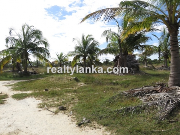 43 Acres Propety in Kalpitiya Lagoon