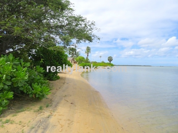 Heaven On Earth in Kalpitiya