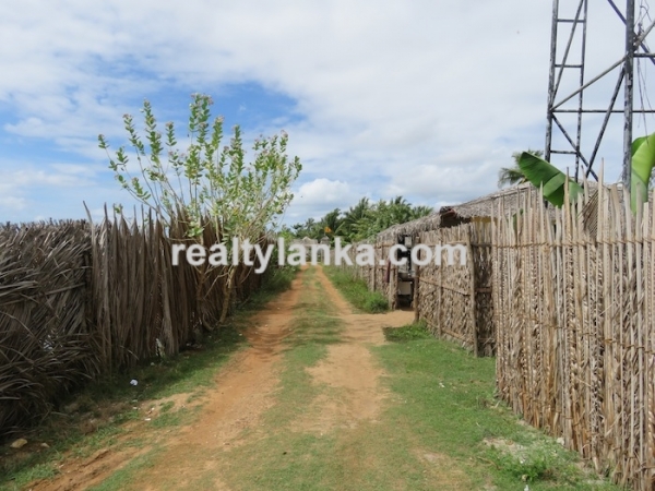 Heaven On Earth in Kalpitiya