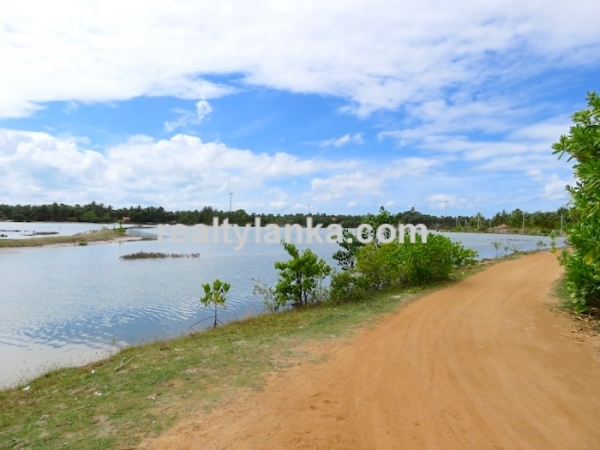 Heaven On Earth in Kalpitiya