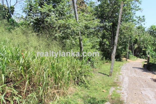 BareLand in Unawatuna