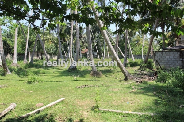 Bareland In Habaraduwa