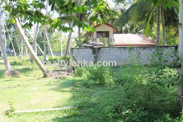 Bareland In Habaraduwa