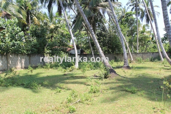 Bareland In Habaraduwa