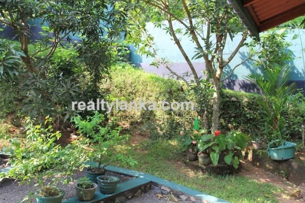 Small Villa In Hikkaduwa