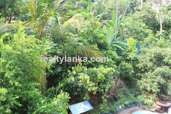 Small Villa In Hikkaduwa
