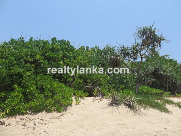 Breathtaking Beach Property in Weligama
