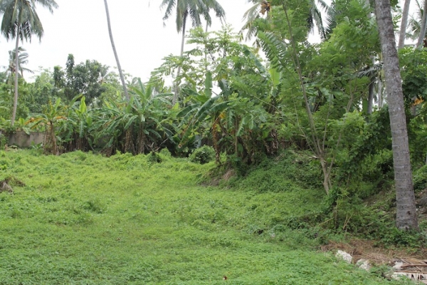 Prime Piece Of Property In Thalpe