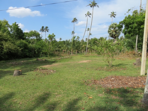 7.5 Acres Beach Property In Rekawa