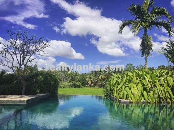 Villa With A Eye Catching Paddy View