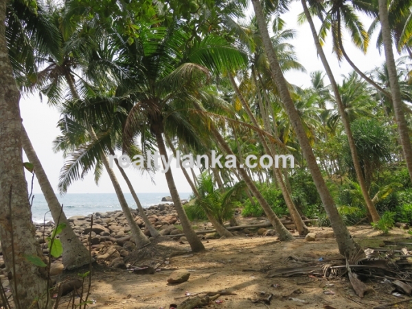 Propert In Donra Beach