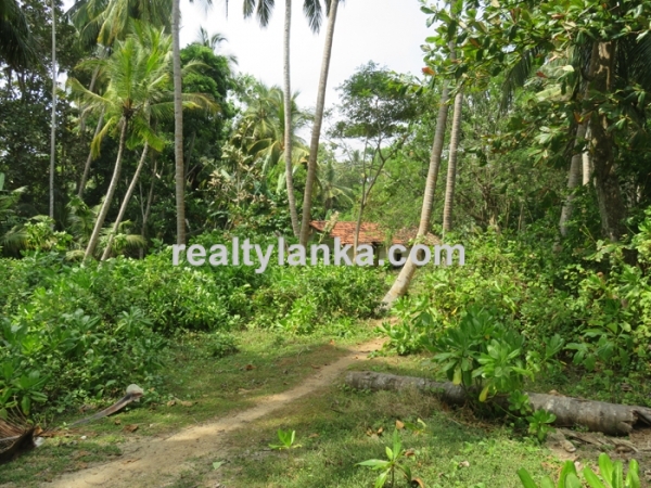 Propert In Donra Beach