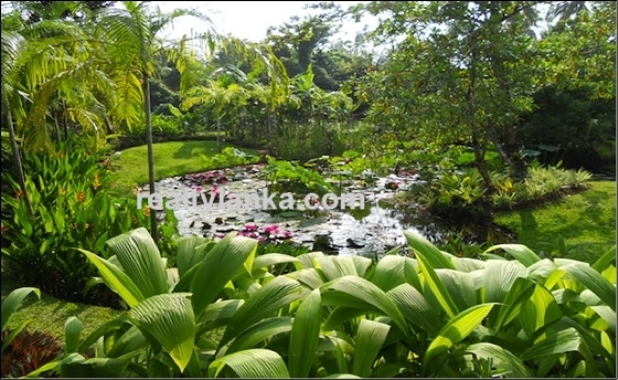 Premium Boutique Villa In Unawatuna