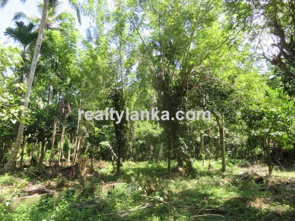 A Small Colonial House In Habaraduwa