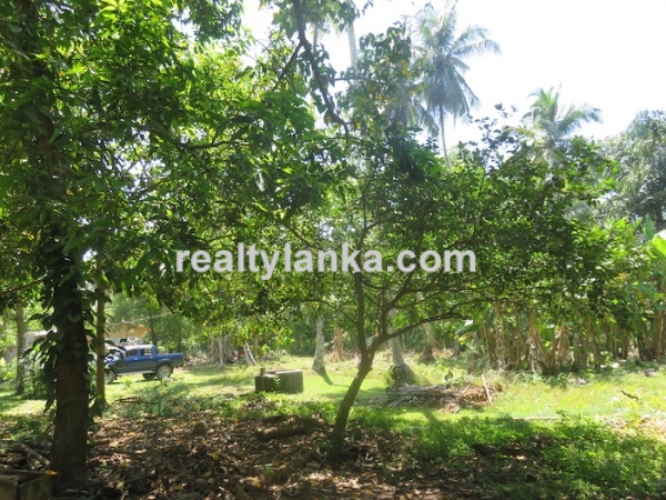A Small Colonial House In Habaraduwa