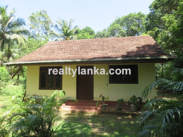 A Small Colonial House With Paddy View