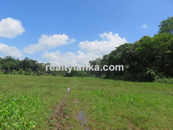 A Small Colonial House With Paddy View