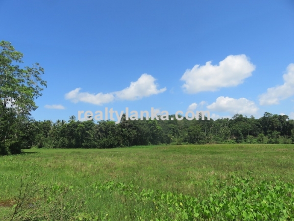 A Small Colonial House With Paddy View