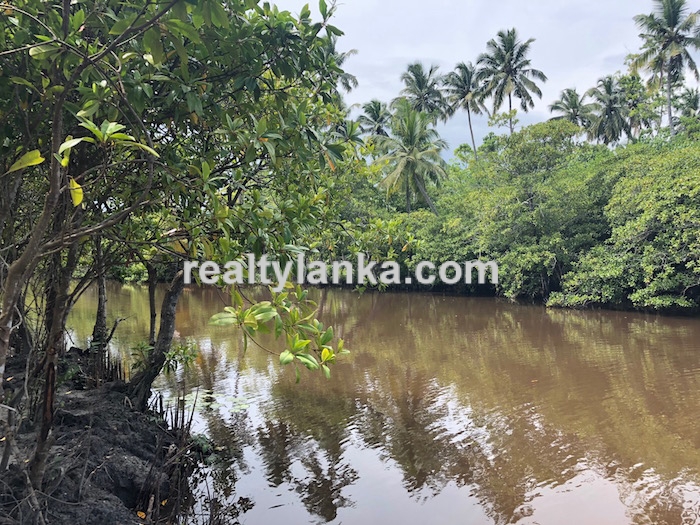 Bareland By The Water