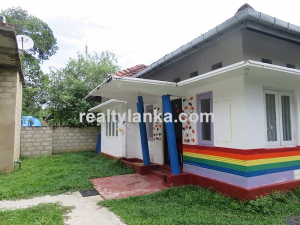 Property With A Paddy View