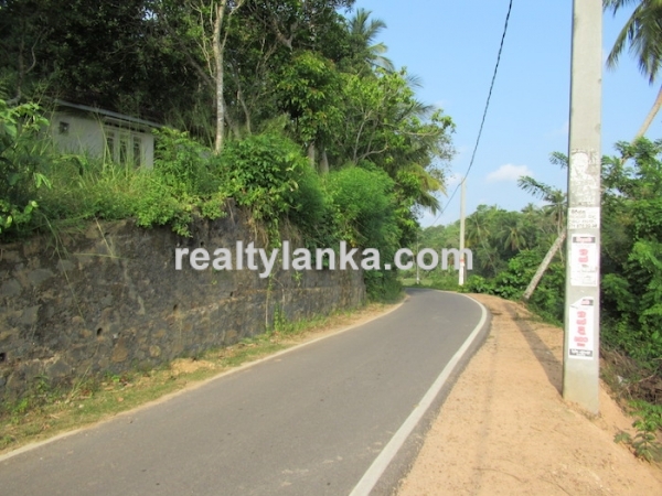 Elevated Paddy View Property In Mirissa