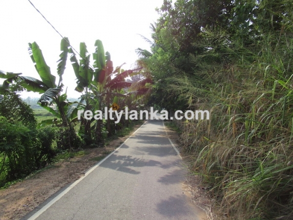 Elevated Paddy View Property In Mirissa