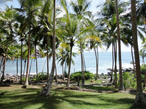 Rare South Coast Headland  Dondra