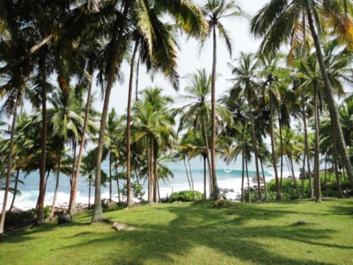 Rare South Coast Headland  Dondra