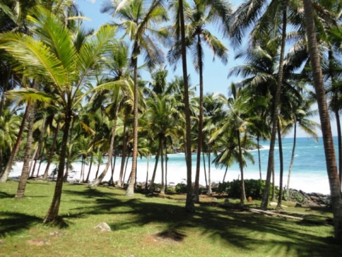 Rare South Coast Headland  Dondra