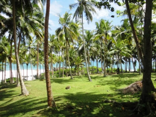 Rare South Coast Headland  Dondra